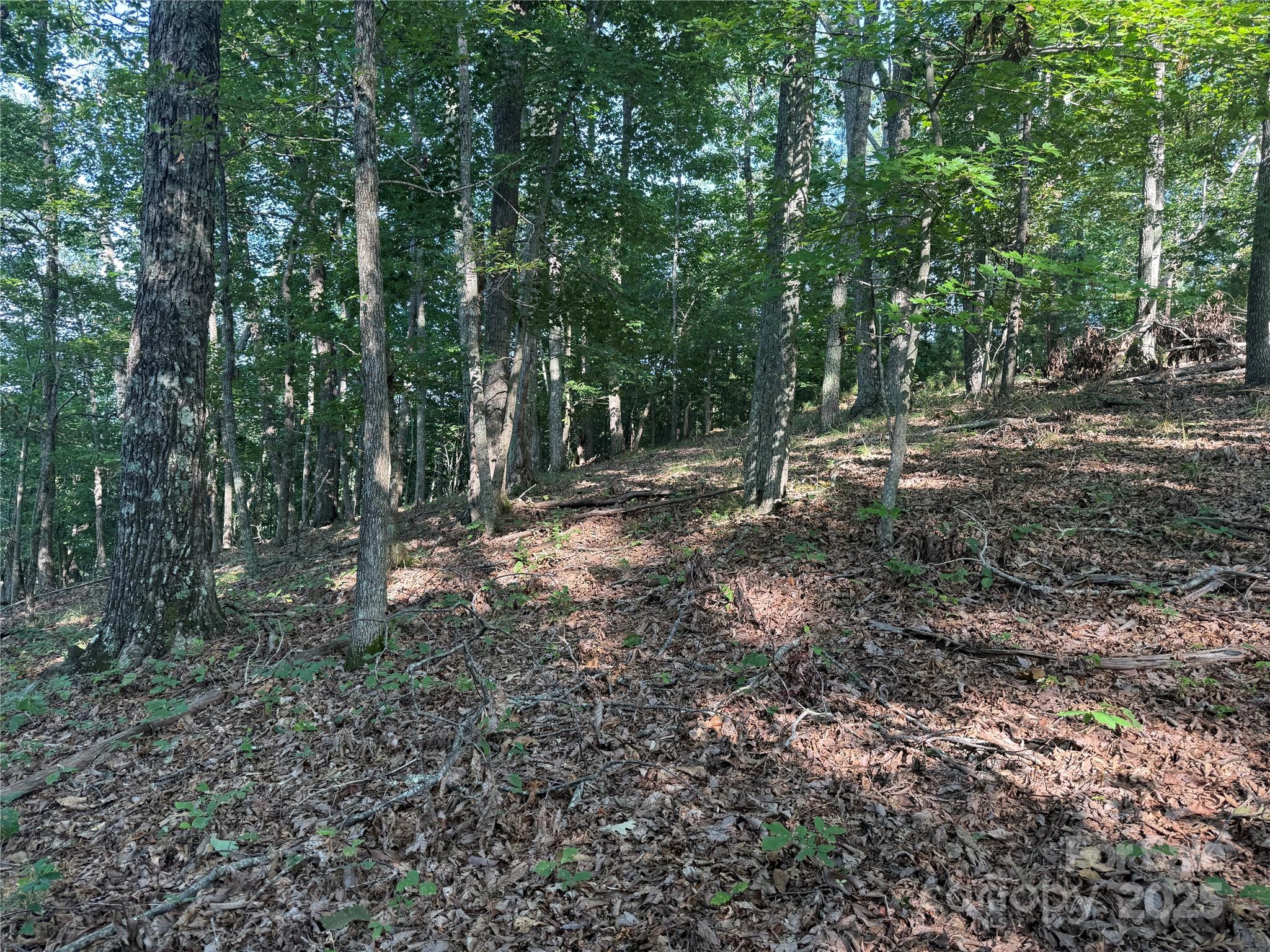 Lot 333 Scenic Vista Drive 333