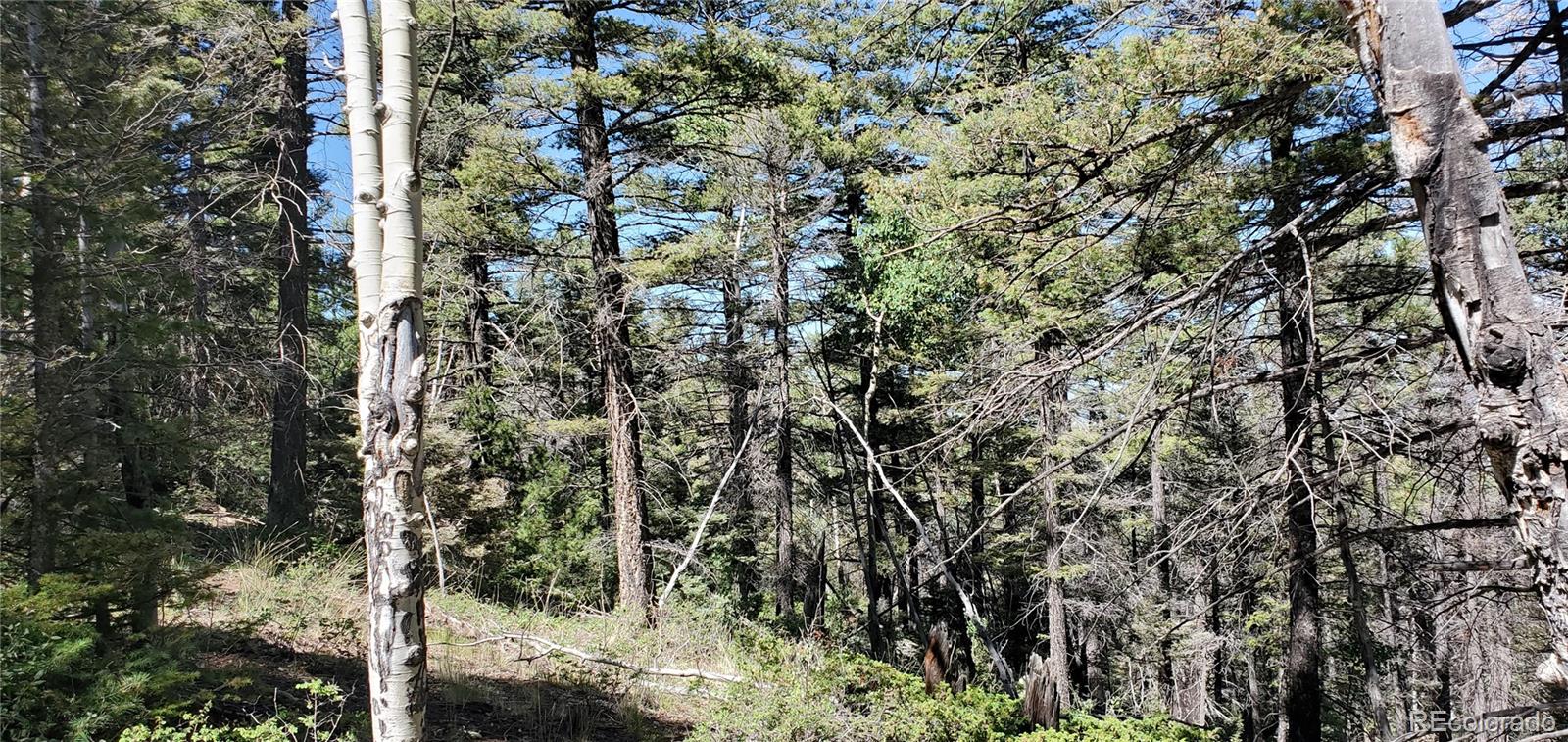Lot 5610 Dawson Road