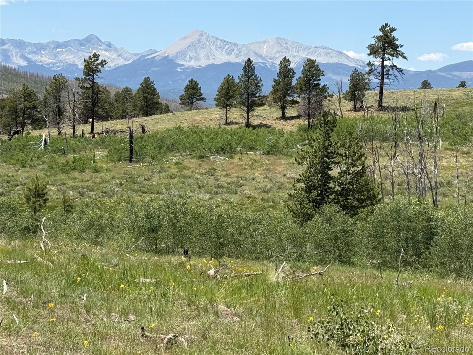 Lot 1103 Emery Loop