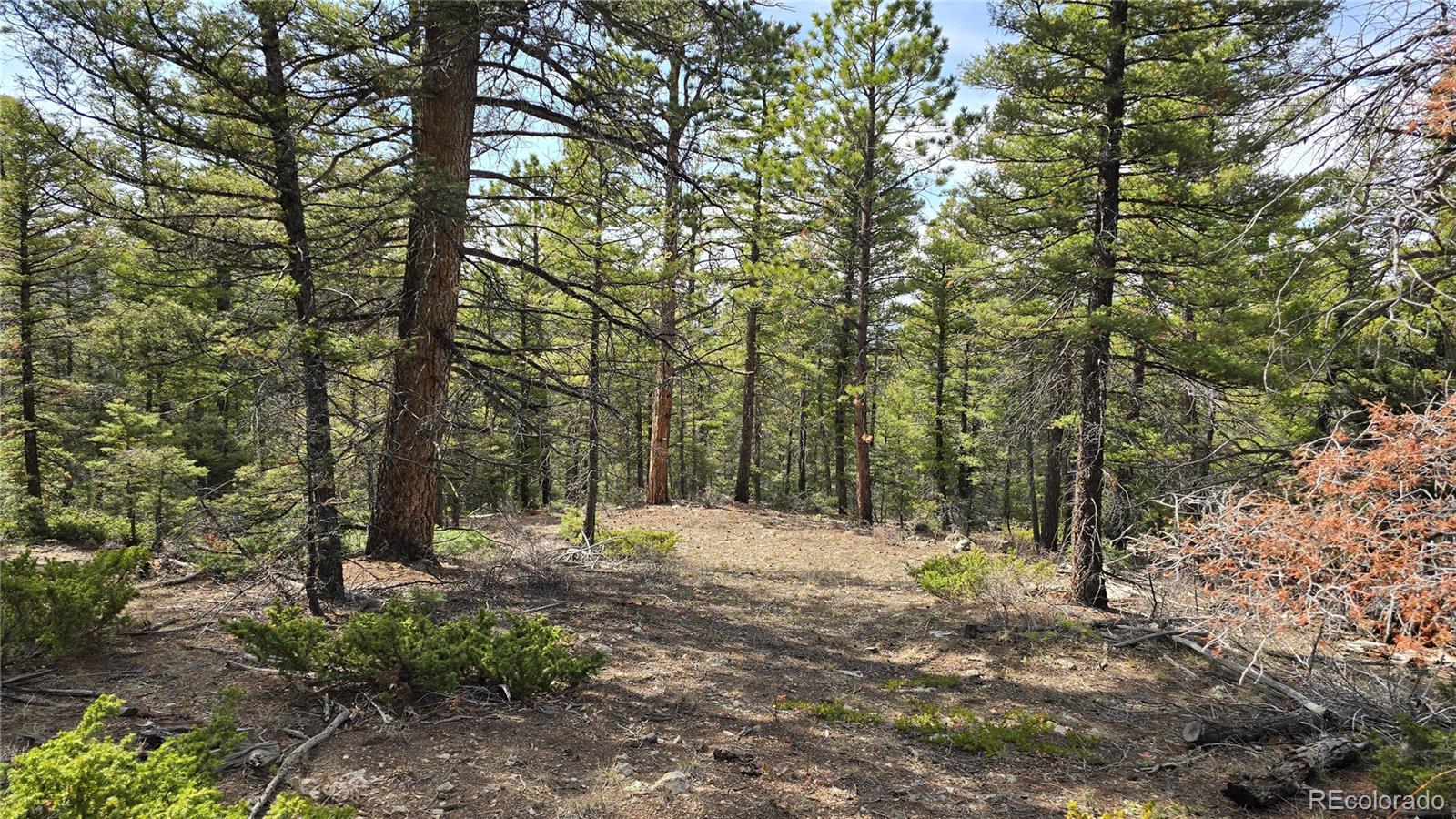 Lot 6070 Vreeland Road