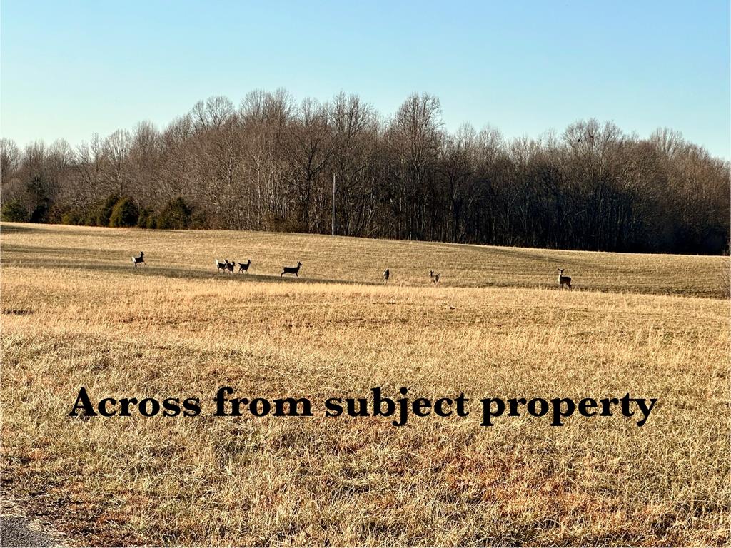 97.88 AC Hensley Cemetery Ln