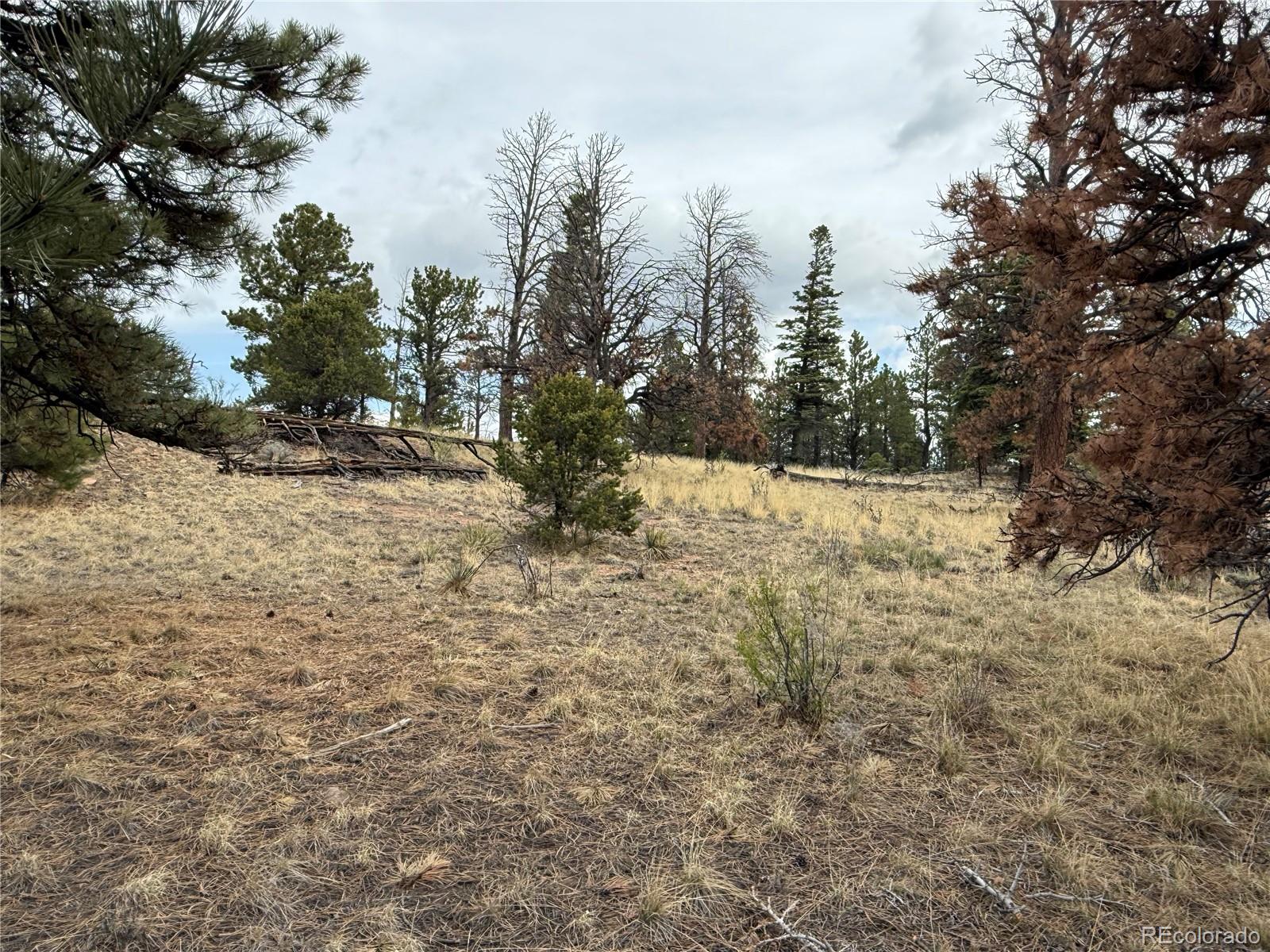 Lot 152 Tahmoush Lane