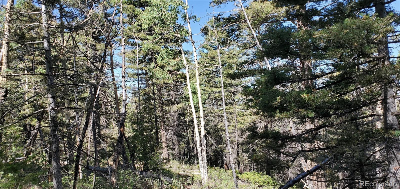 Lot 5610 Dawson Road