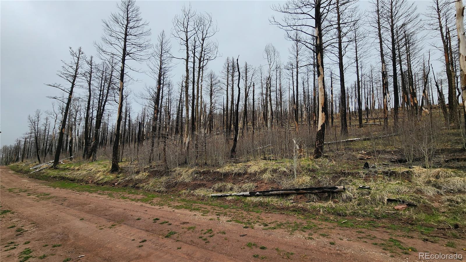Lot 1735 Mara Loop