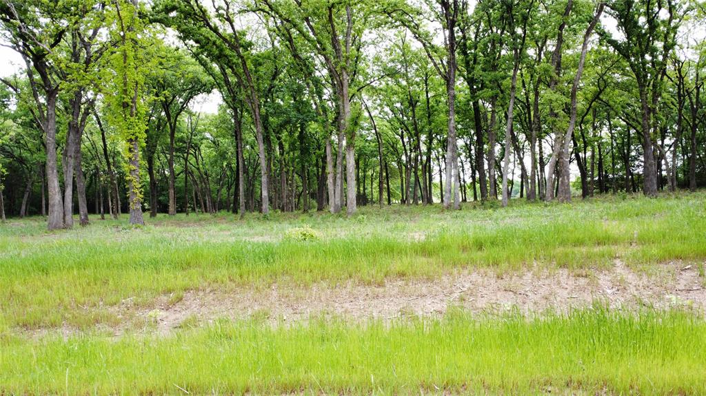 1210 Buck Trail