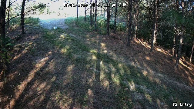 6004 Old Hohenwald Rd
