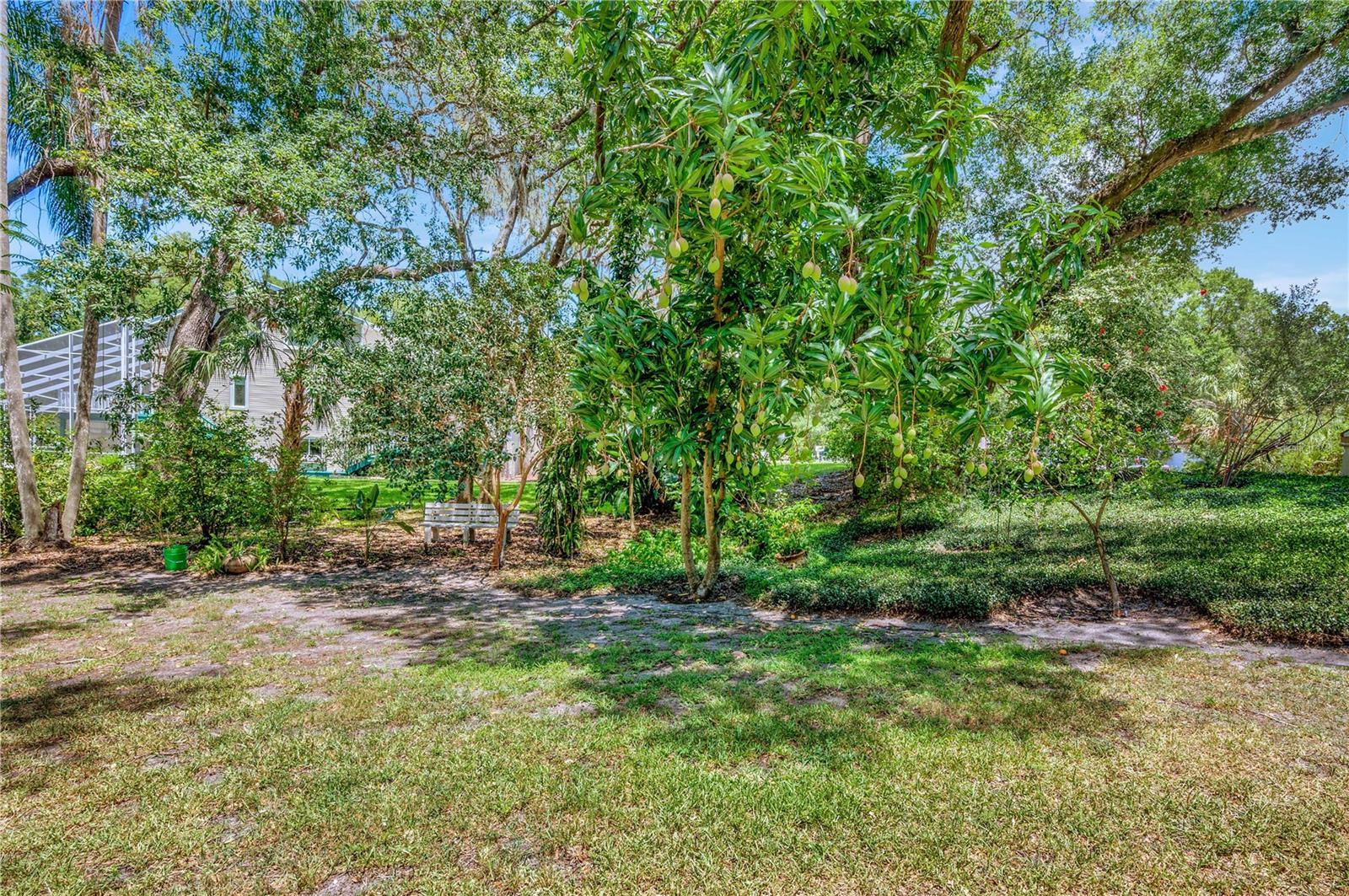 11526 River Country Drive