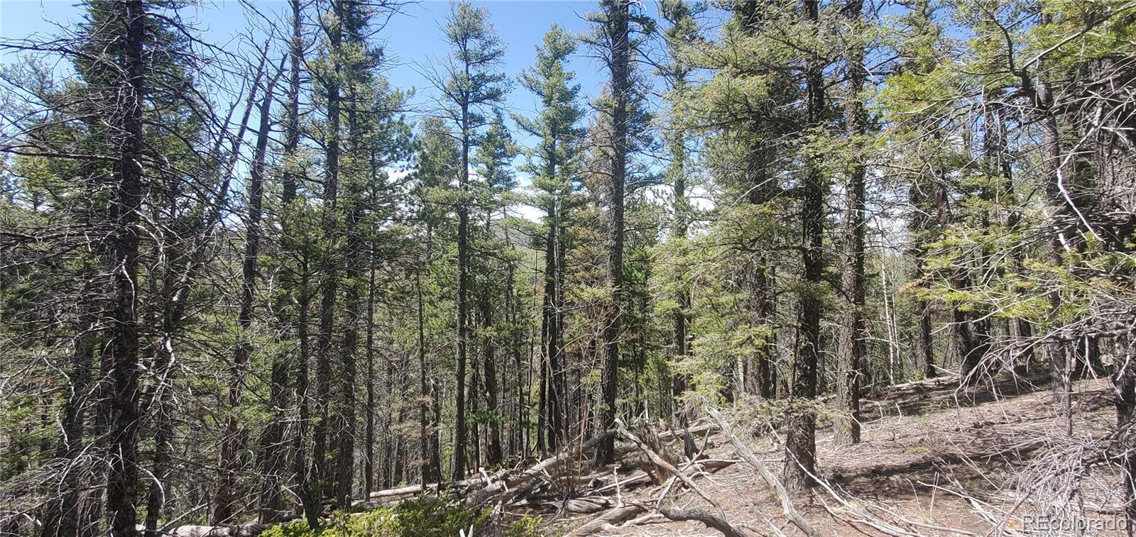 Lot 6764 Kerrigan Road