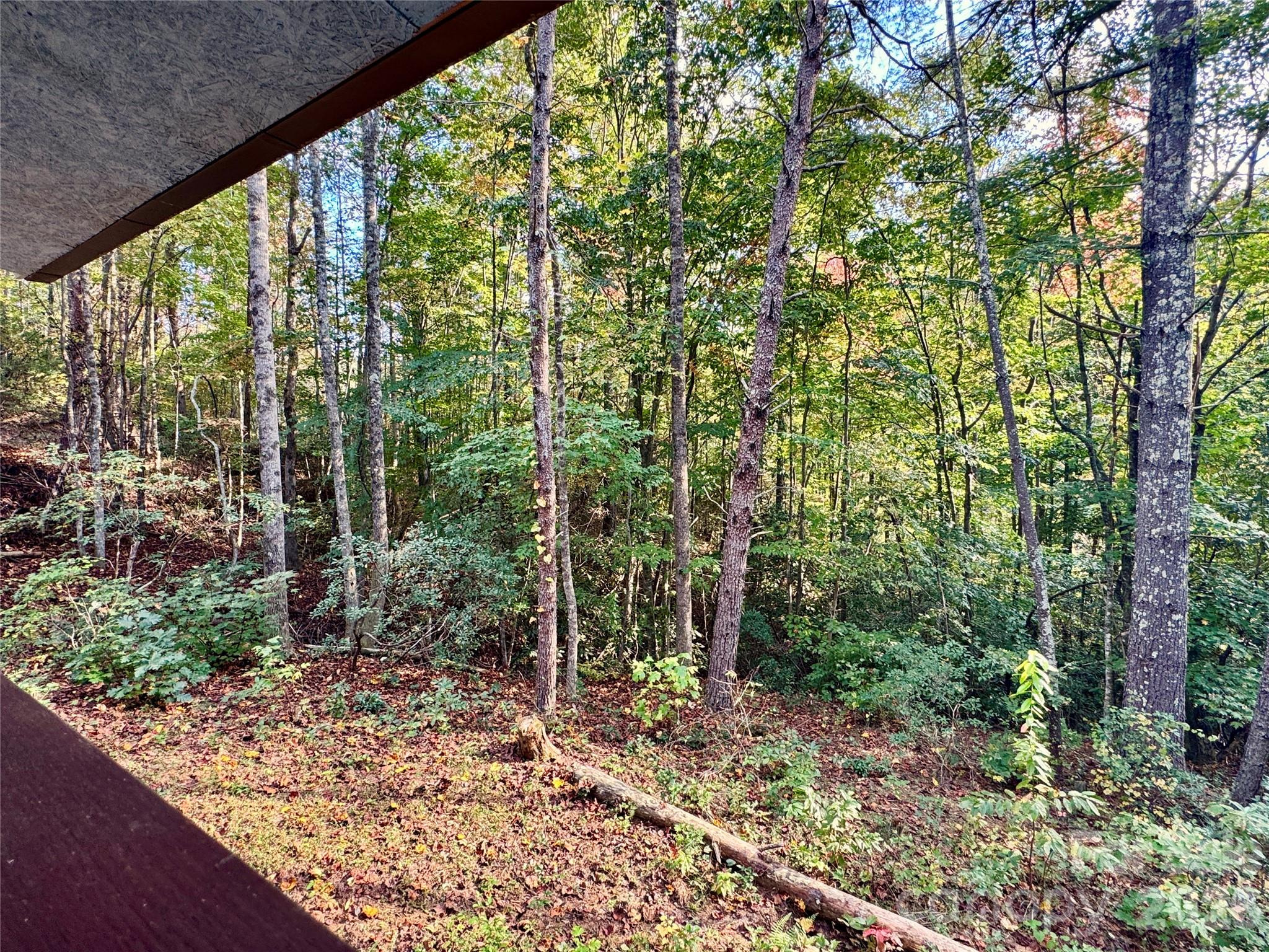 5314 Daisy Place 66