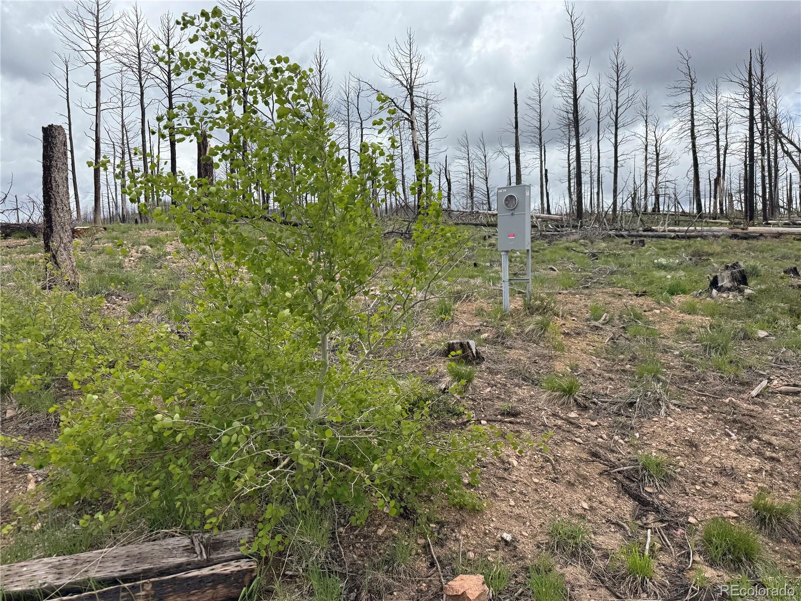Lot 383 Soubry Place