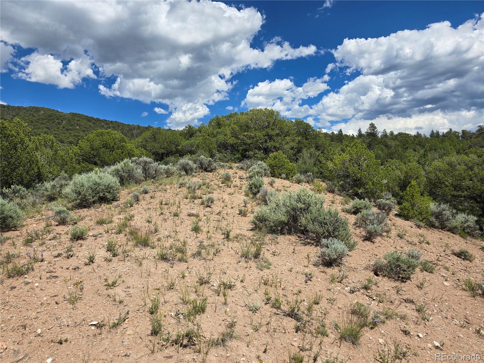 7572 Dashiell Road
