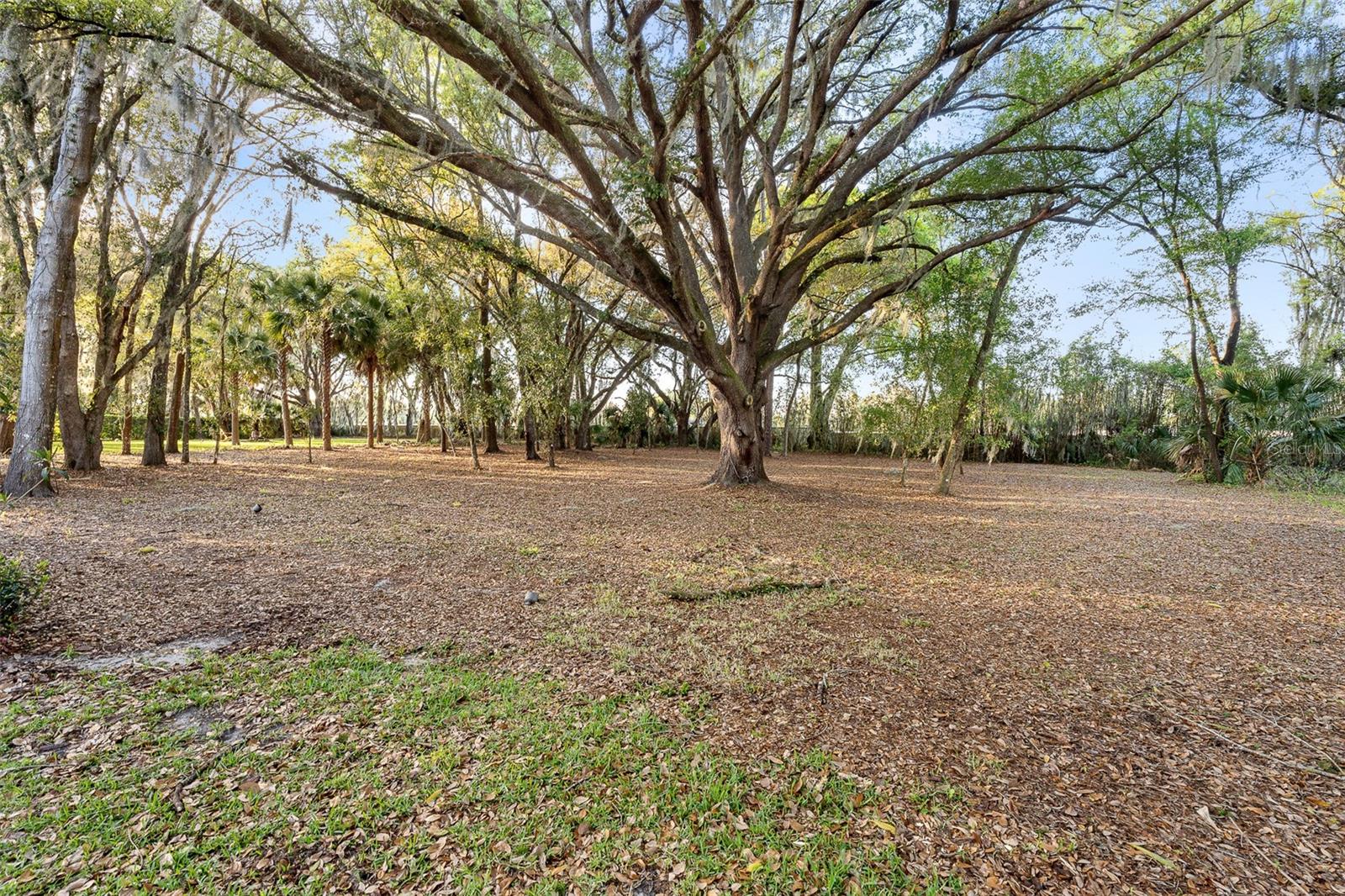 7341 Bella Foresta Place