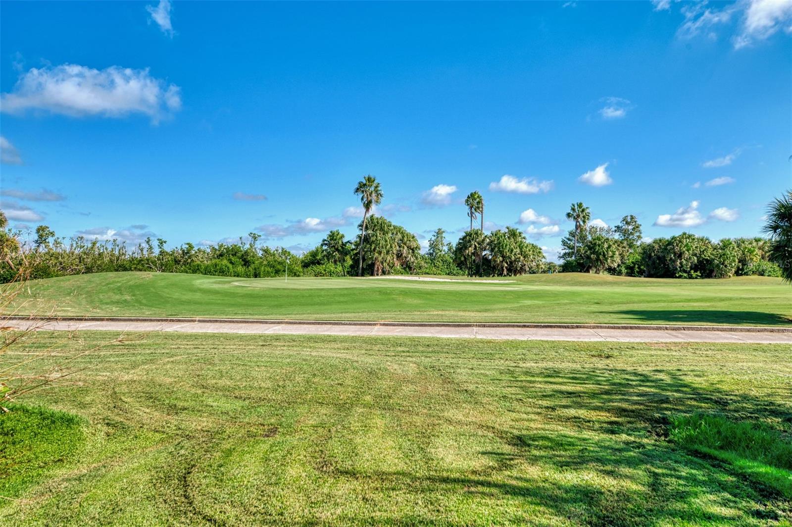 13384 Golf Pointe Drive