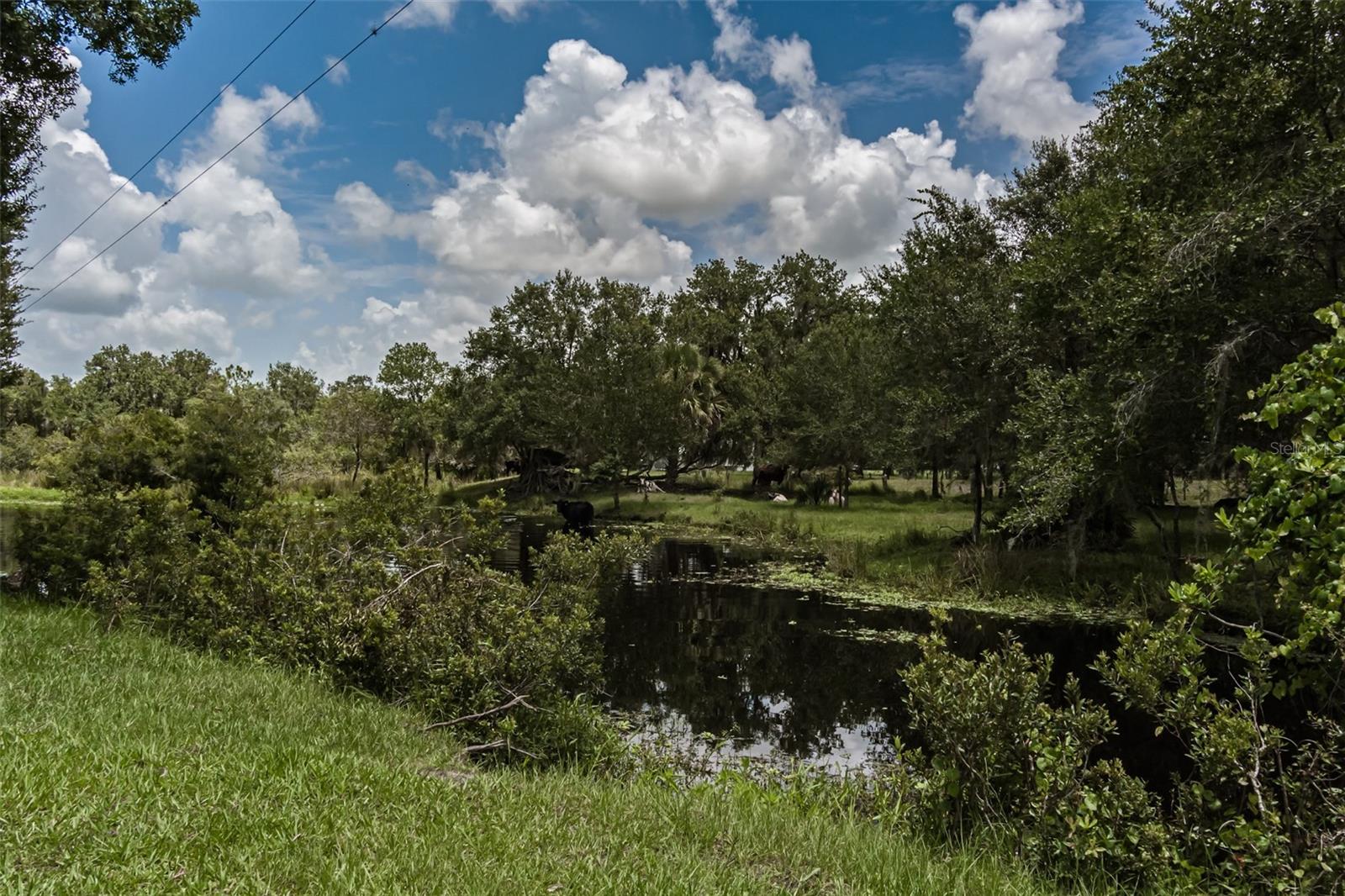 43355 Clay Gully Road