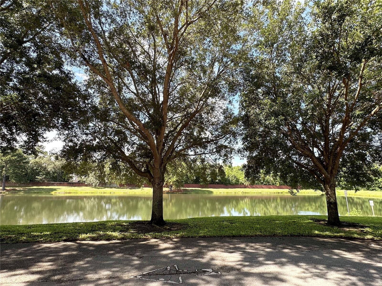 4309 Regal Town Lane