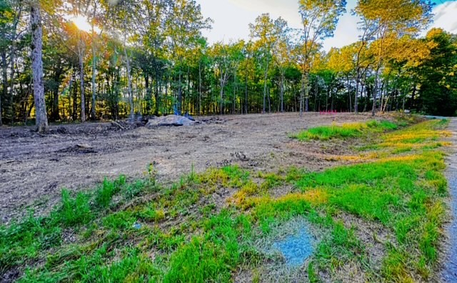 Discover the perfect place to build your dream home on this 1.7-acre lot tucked away in the peaceful countryside. Already perked for a 3-bedroom home, this property offers the ideal blend of convenience and seclusion. Surrounded by nature, you'll enjoy the perfect space to create your own retreat. Whether you envision a cozy farmhouse, modern build, or country getaway, this lot provides the perfect canvas for your vision.  Lake view just a stone's throw down the road. Public boat launch less than 10 mins. away. No deed restrictions. Surrounded by TWRA land. Lot sits on a no outlet street.  Lot has city water. Water tap already in place. Duck River Electric.