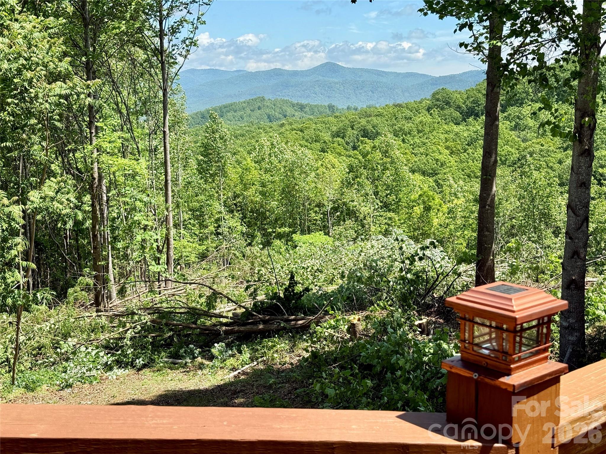1143 Grandview Peaks Drive