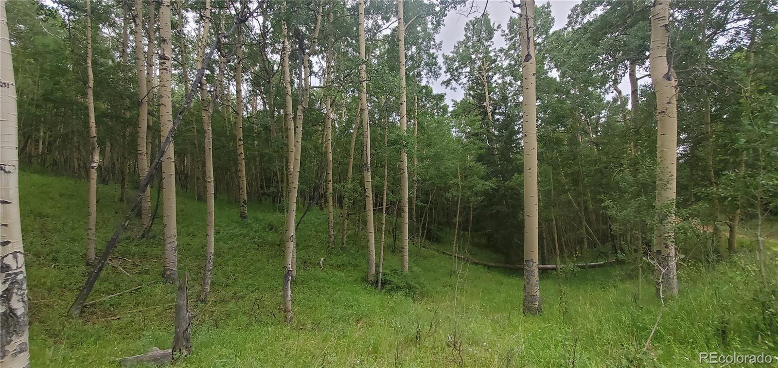 Lot 6882 Donna Road