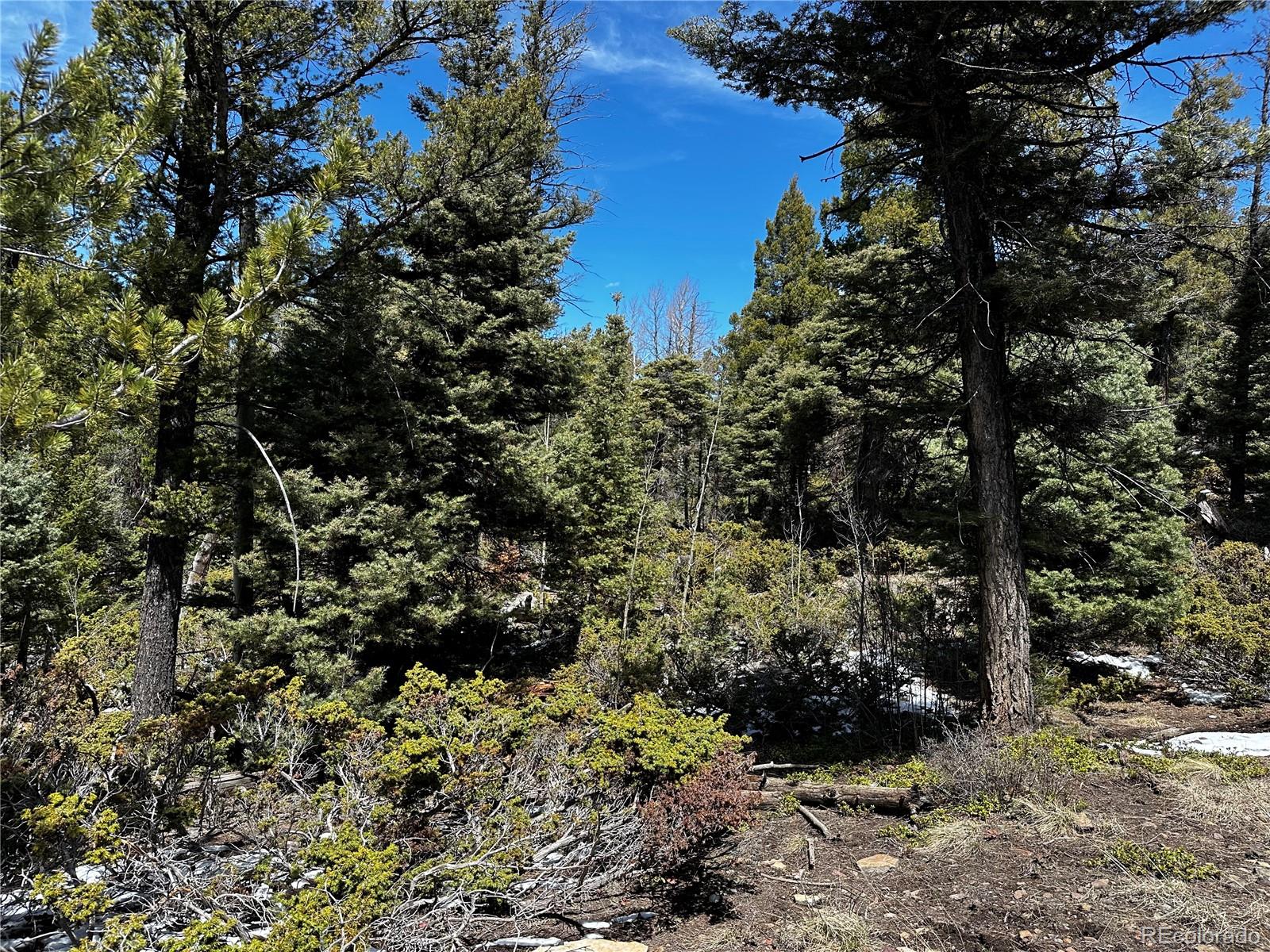 Lot 174 Ferris Place