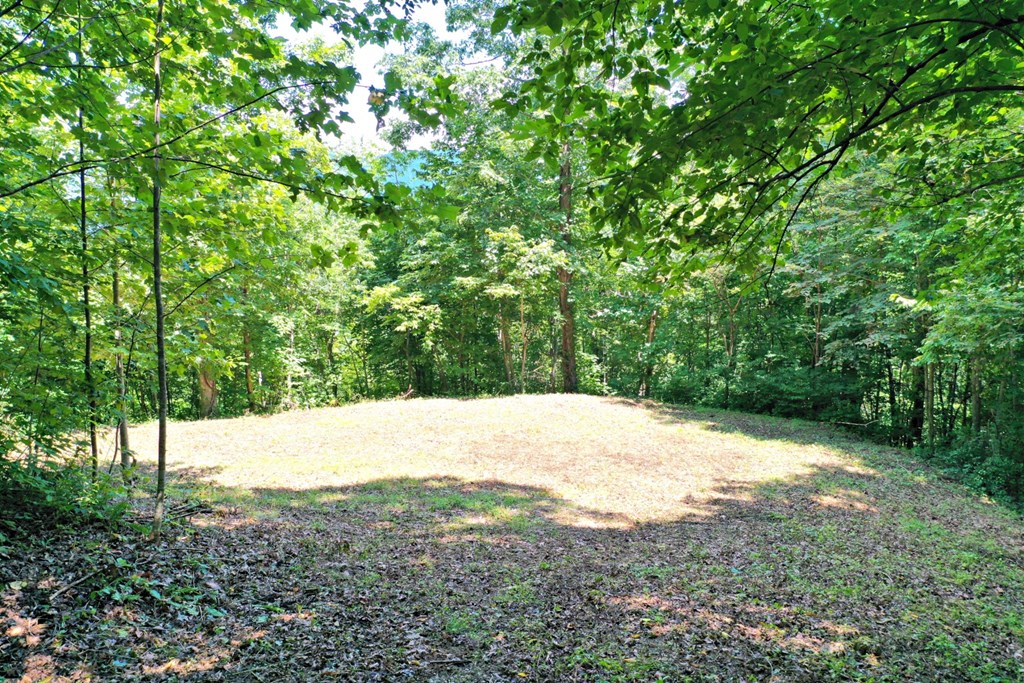 Oat Field Road