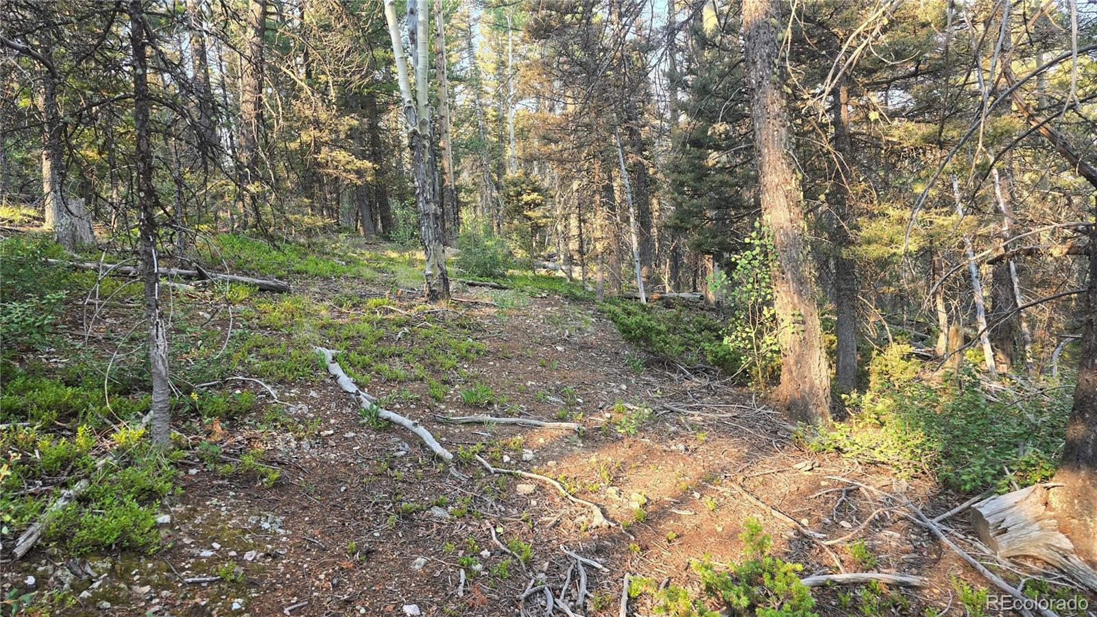 Lot 5768 Clawson Road