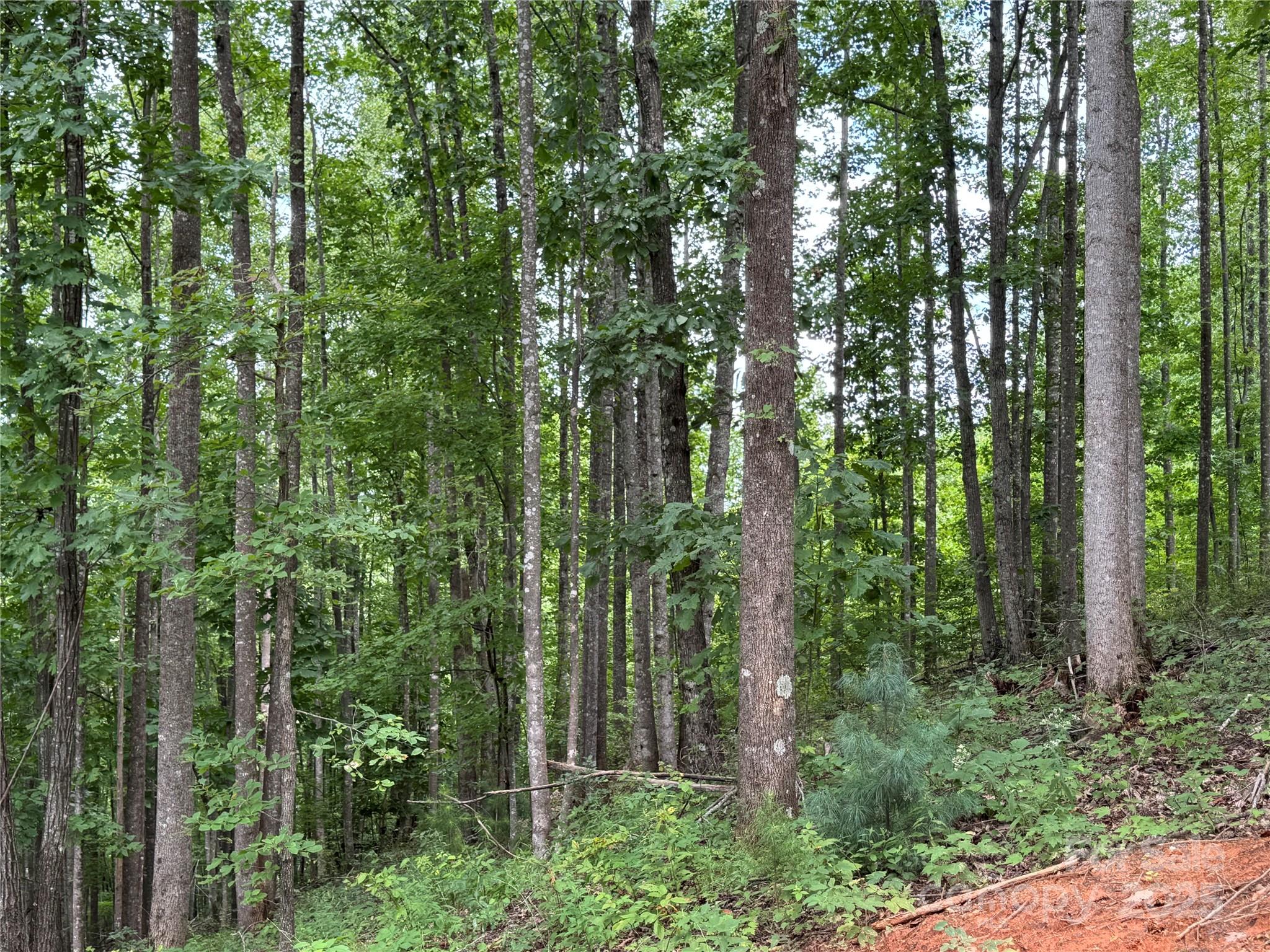 2.01 acres, Lot 971 Soaring Top Lane 971