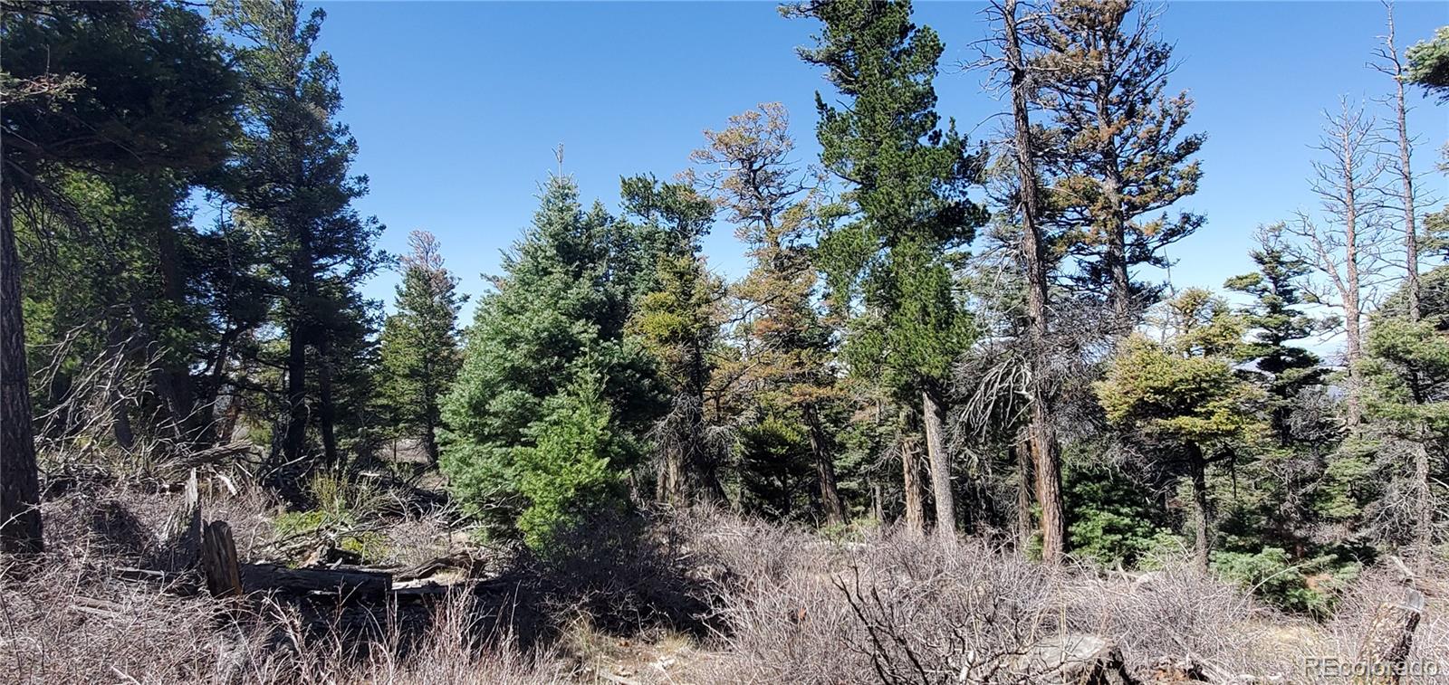 Lot 5802 Tagge Road