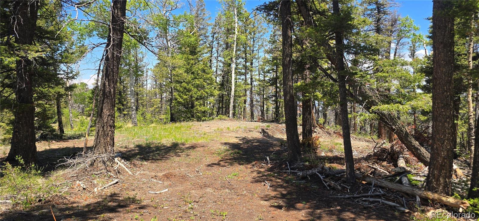Lot 5546 Balleroy Road