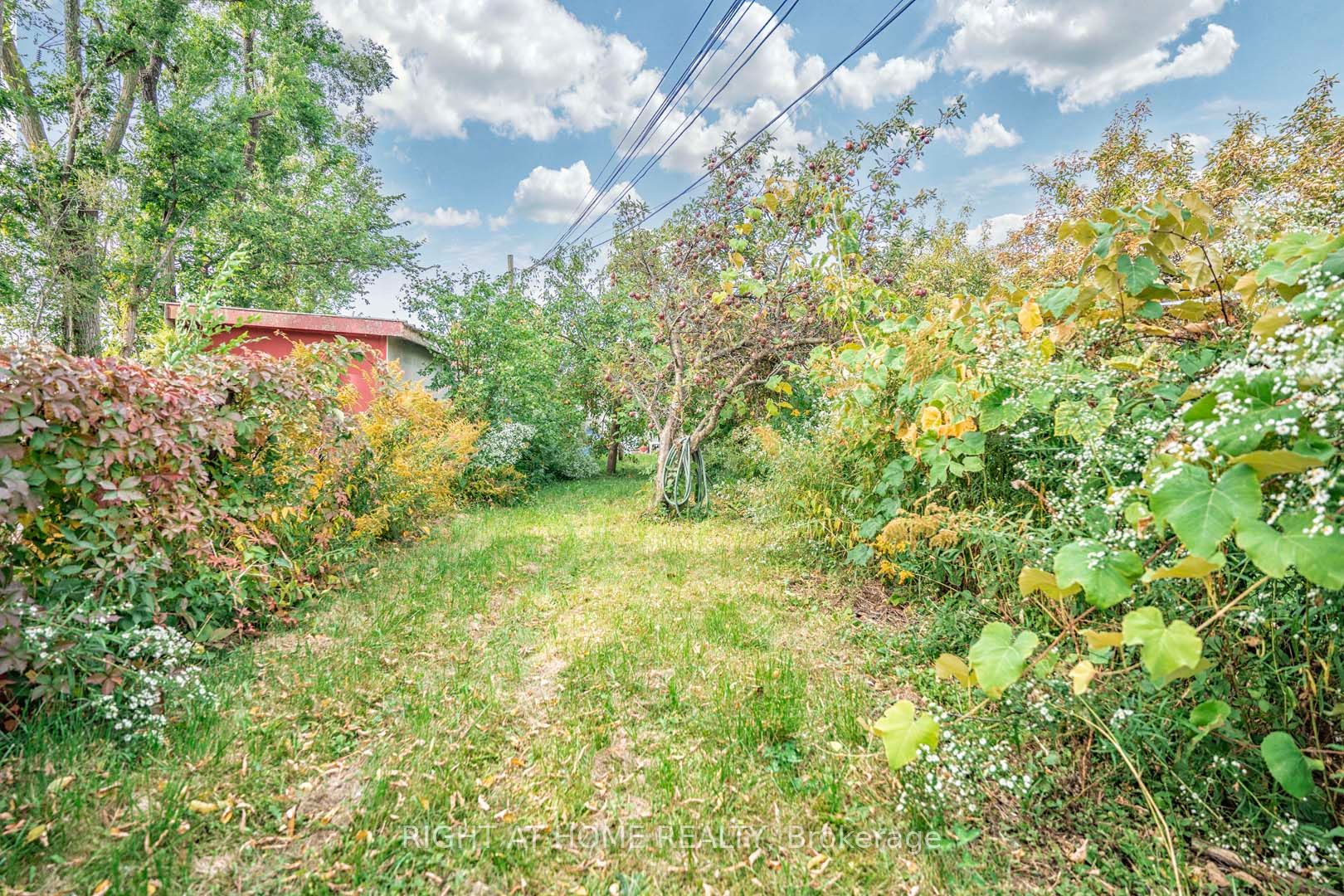 1149 Birchmount Rd