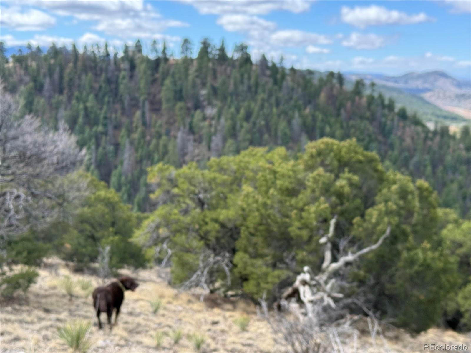 Lot 117 Lautenburg Drive