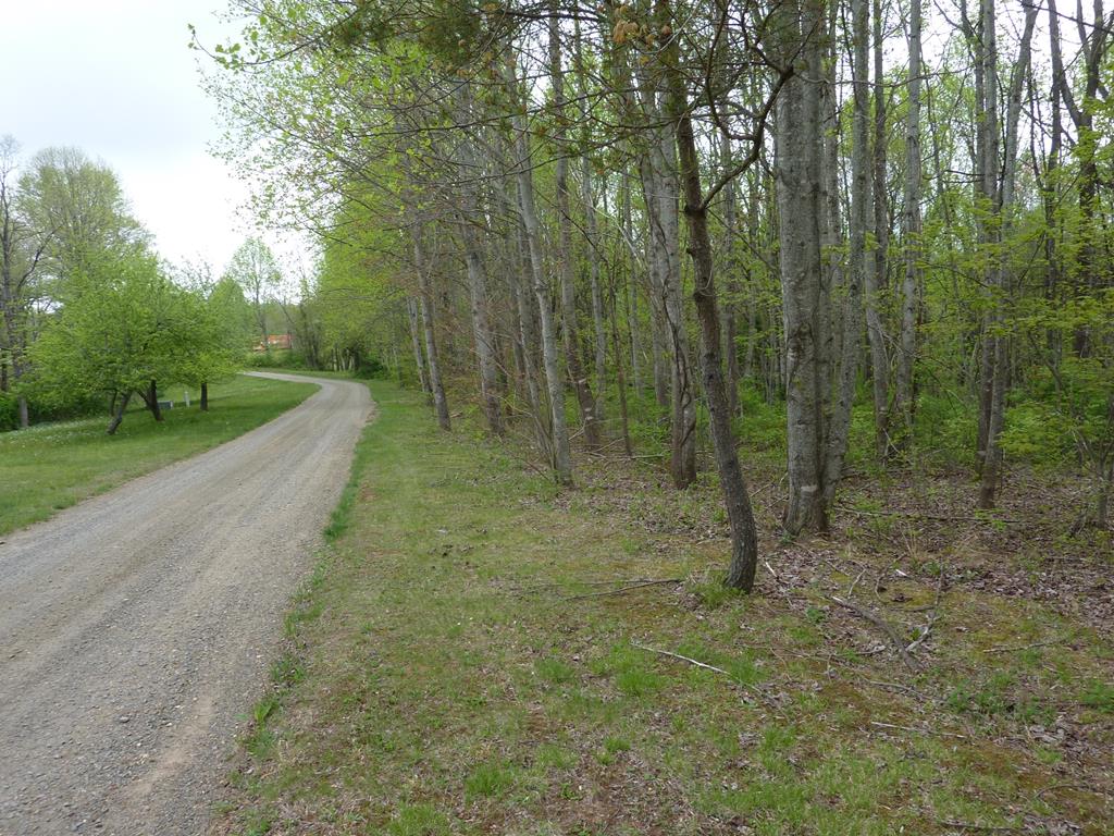 Nice, wooded building lot in Meadows of Dan, VA. This 2.9+ acre lot is mostly level to slightly sloping with several hundred feet of frontage on Pinnacle Point Lane. The property is approx. 5 miles from Meadows of Dan, less than 2 miles to the Blue Ridge Parkway with easy access to Hillsville, VA & Mt. Airy, NC.