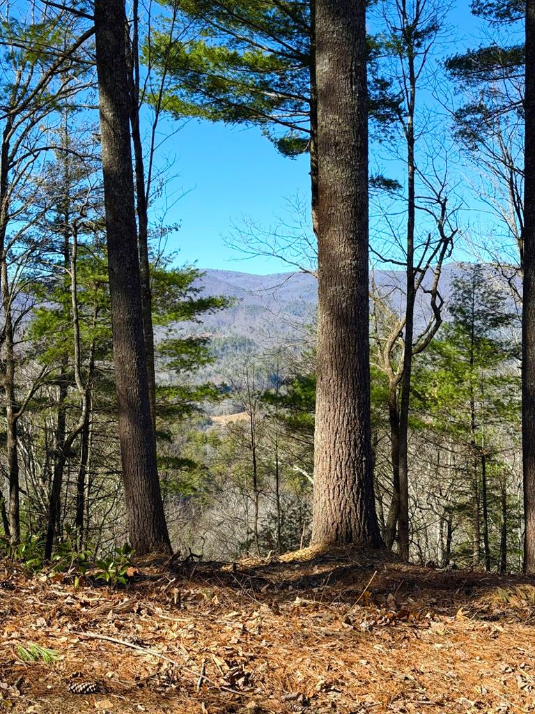 If you've been searching for breathtaking views, no minimum build-size restriction, and the kind of peaceful seclusion that's becoming harder to find, this is the lot for you. Surrounded by sweeping panoramic vistas, fresh mountain air, and endless natural beauty, you'll feel a world away from it all — yet food and shopping in the town of Murphy, NC are just 30 minutes away.  Discover the charm of the Unaka area, where a private, independent lifestyle blends seamlessly with a close-knit community of friendly neighbors always ready to lend a helping hand. Bring your vision to life on this spacious, tiny-home-friendly homesite featuring existing utilities and light restrictions that protect your investment while still allowing the freedom to create the mountain retreat you've always wanted.  The well-maintained gravel road to the ridge is steep in spots; AWD or 4WD is recommended during wet or icy conditions but not necessary for everyday access. RVs are permitted short-term while your home is being completed. Escape the noise and claim your own piece of the Blue Ridge Mountains.