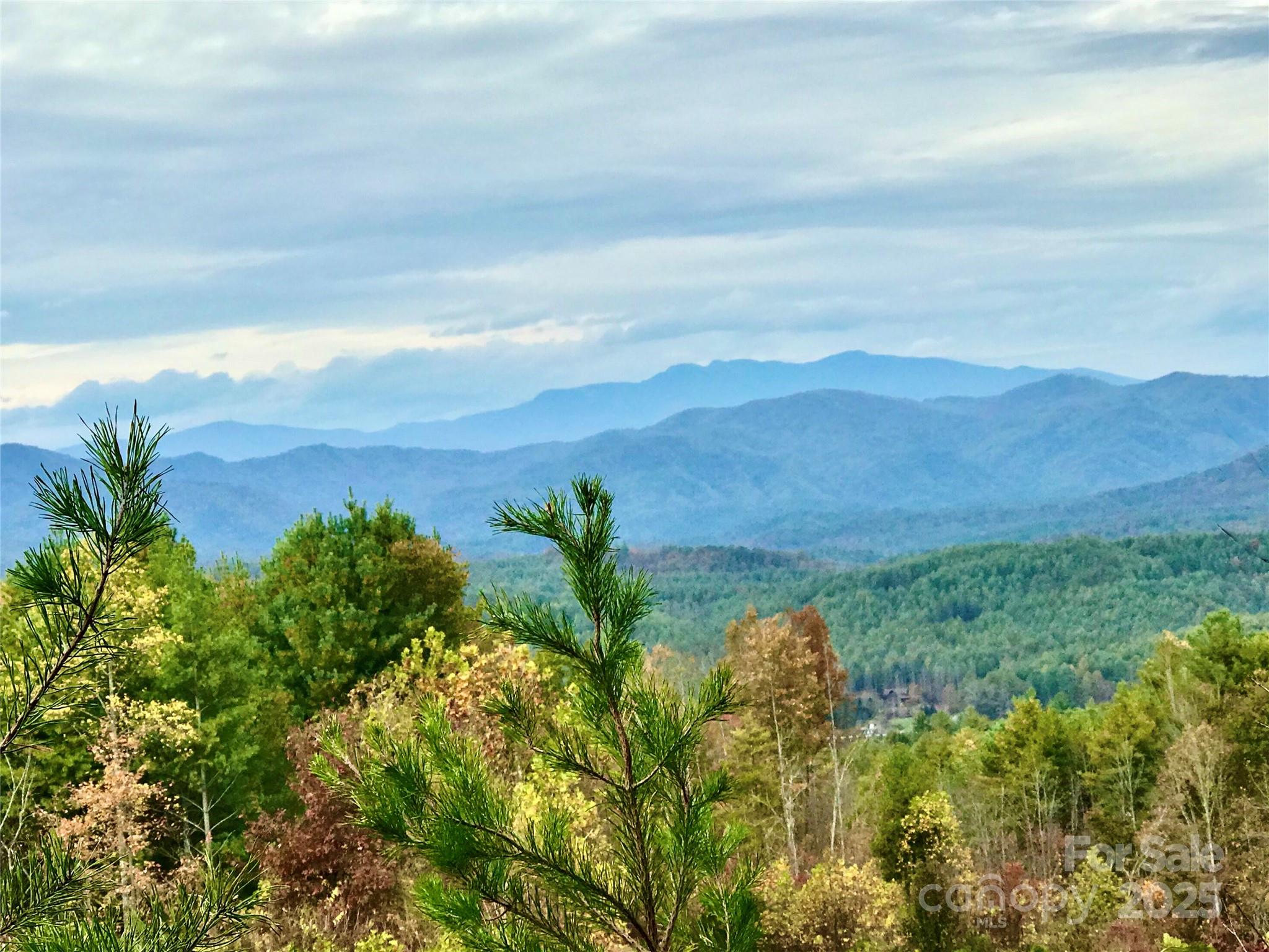 1.62 acres Lot 204B Johns Ridge Parkway Lot 204B
