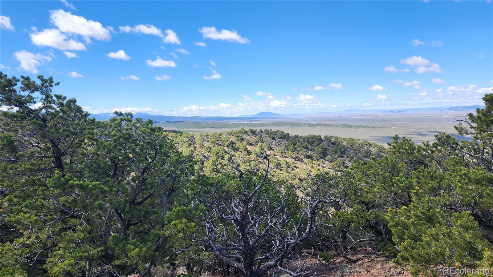 5040 & 5041 Mamouche Road