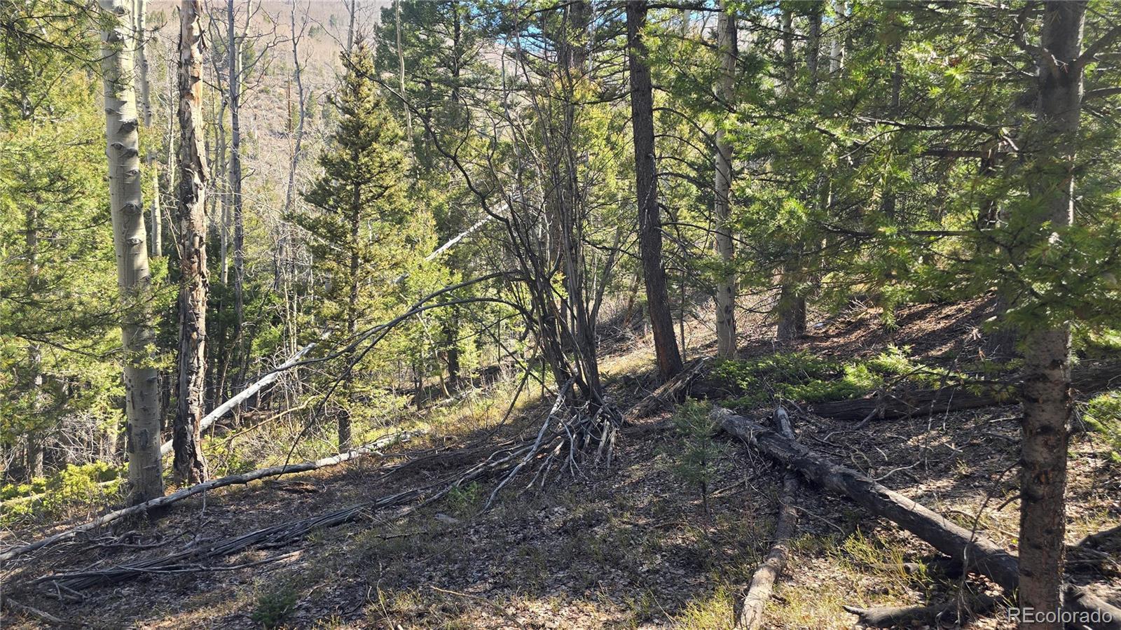 Lot 6708 Debbie Road