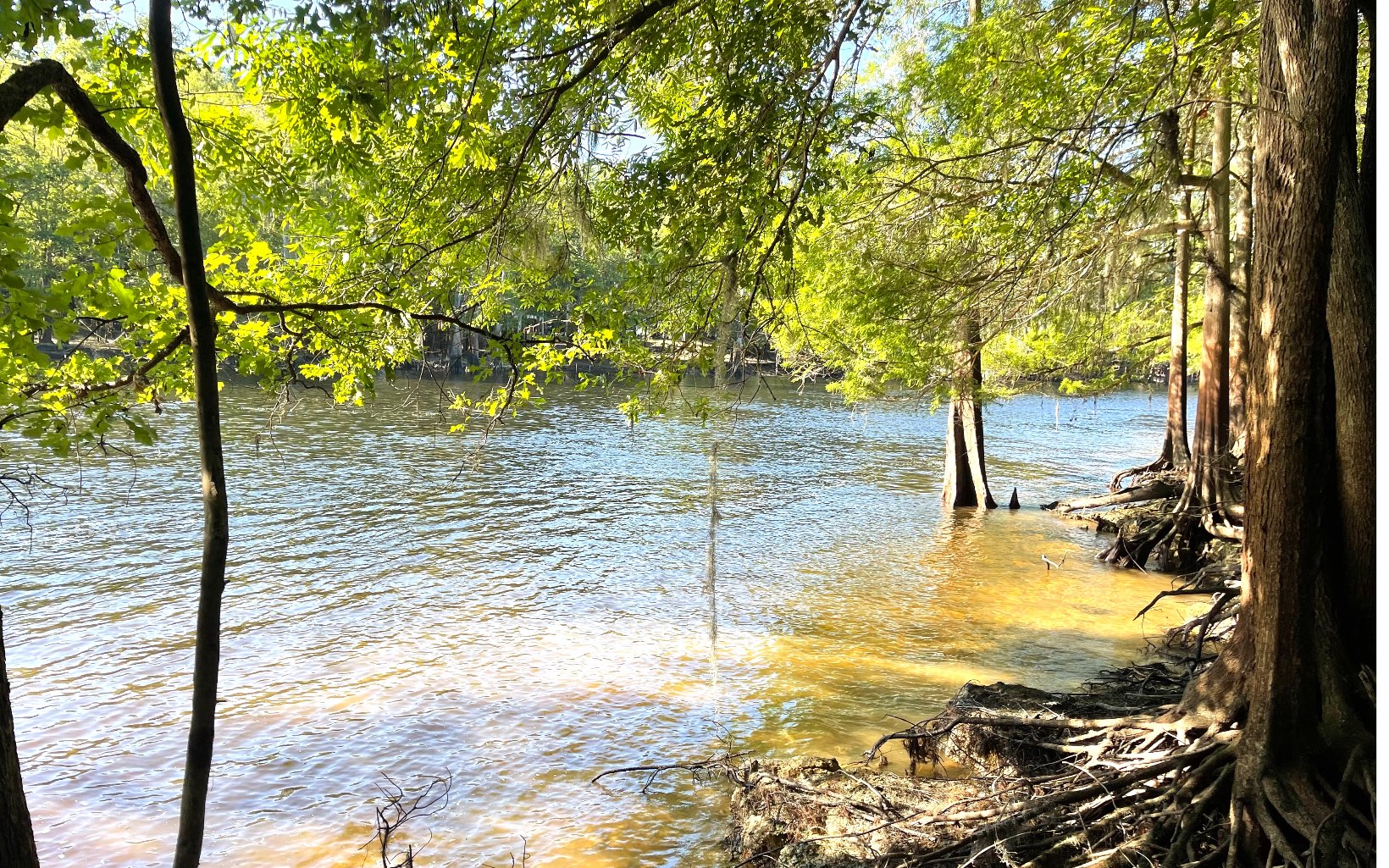 Branford Real Estate TBD River Run Rd Branford ,FL available for