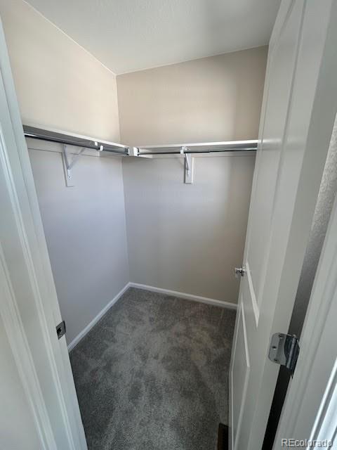 393 Grey Rock Street