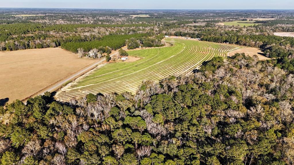 This 43 acre multi use tract has everything!  There are 13 wooded acres with a creek.  The remaining acreage is open, currently used as farmland.   Call today for more information on this great property and be sure to take a look at the drone video here for a better view: https://galleries.page.link/gpbBT