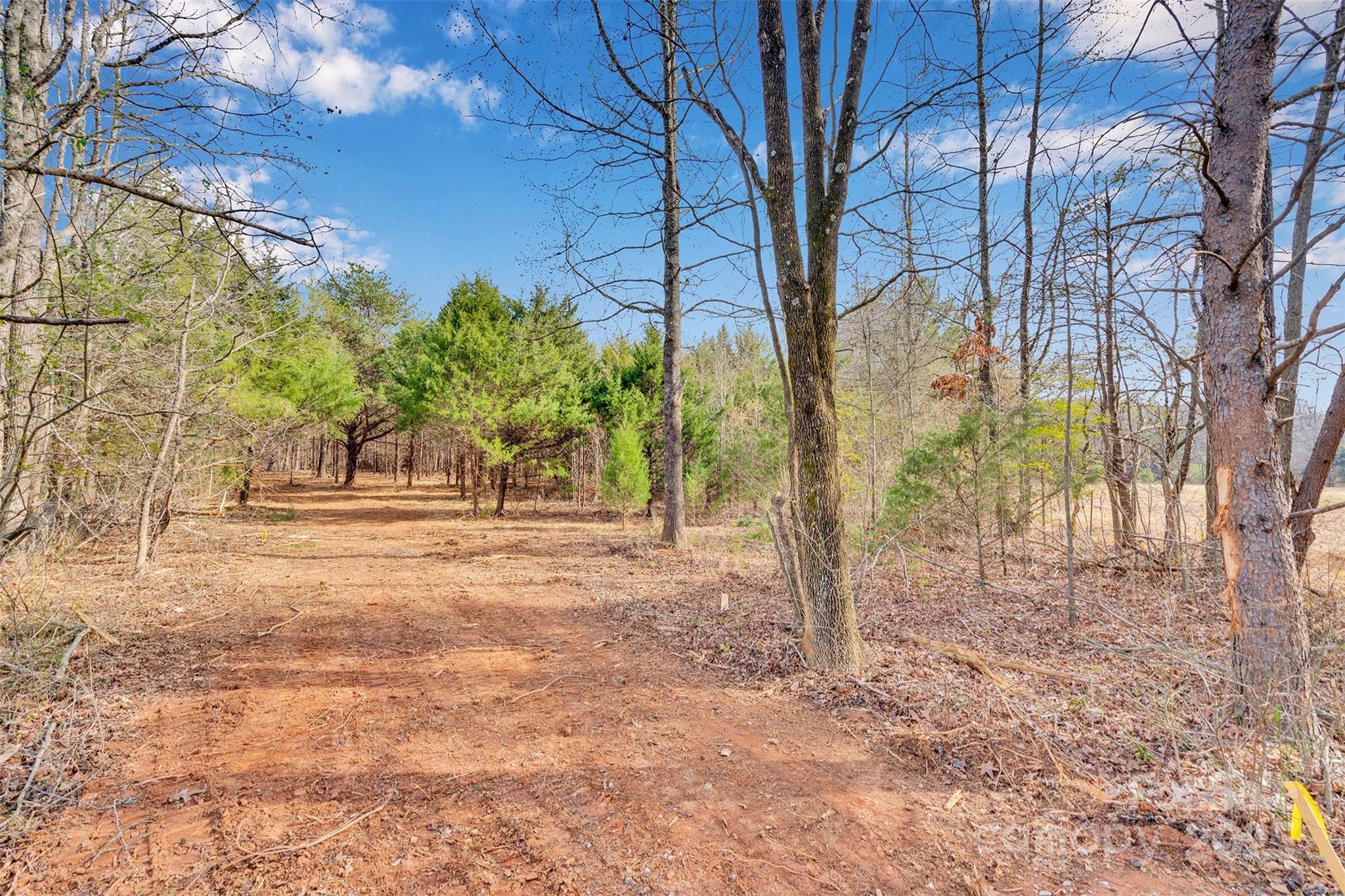 10712 Connell Road 3