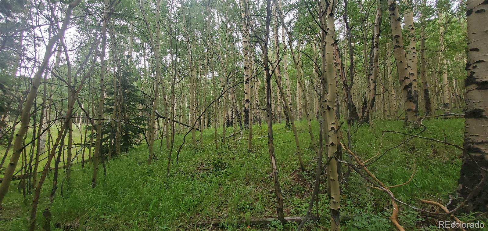 Lot 6882 Donna Road