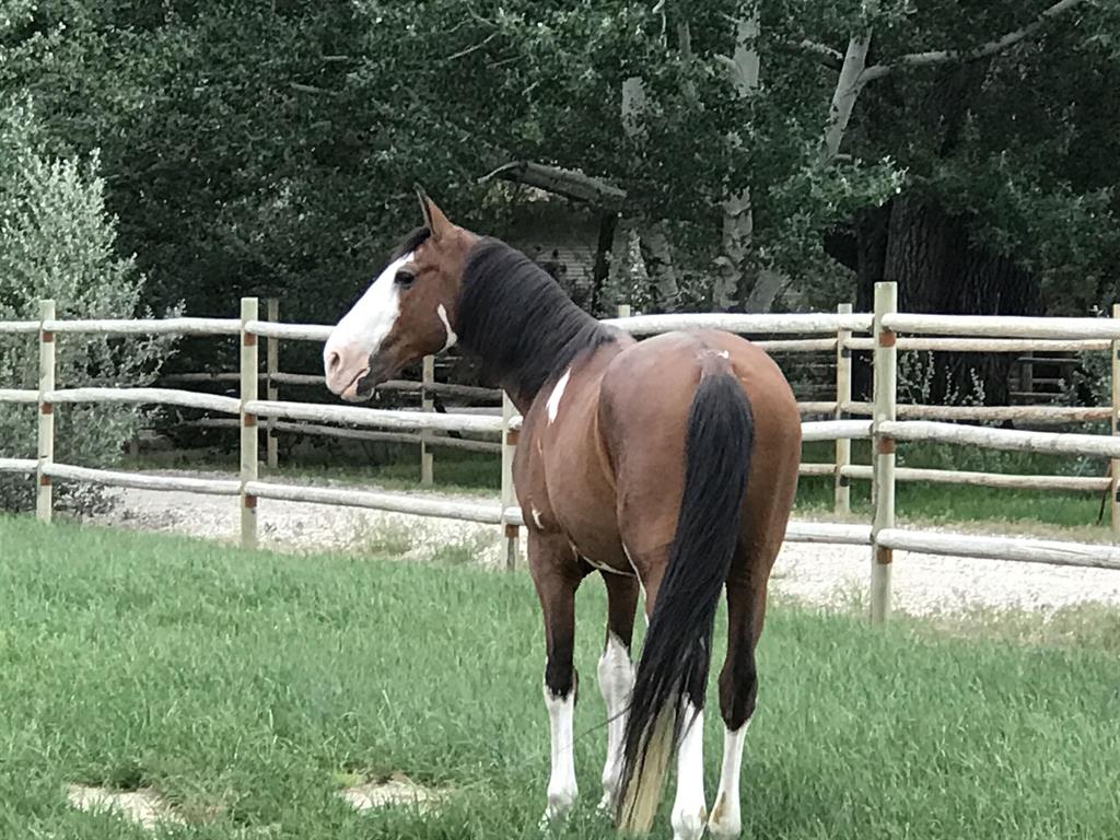 1720 Eaglenest Tr