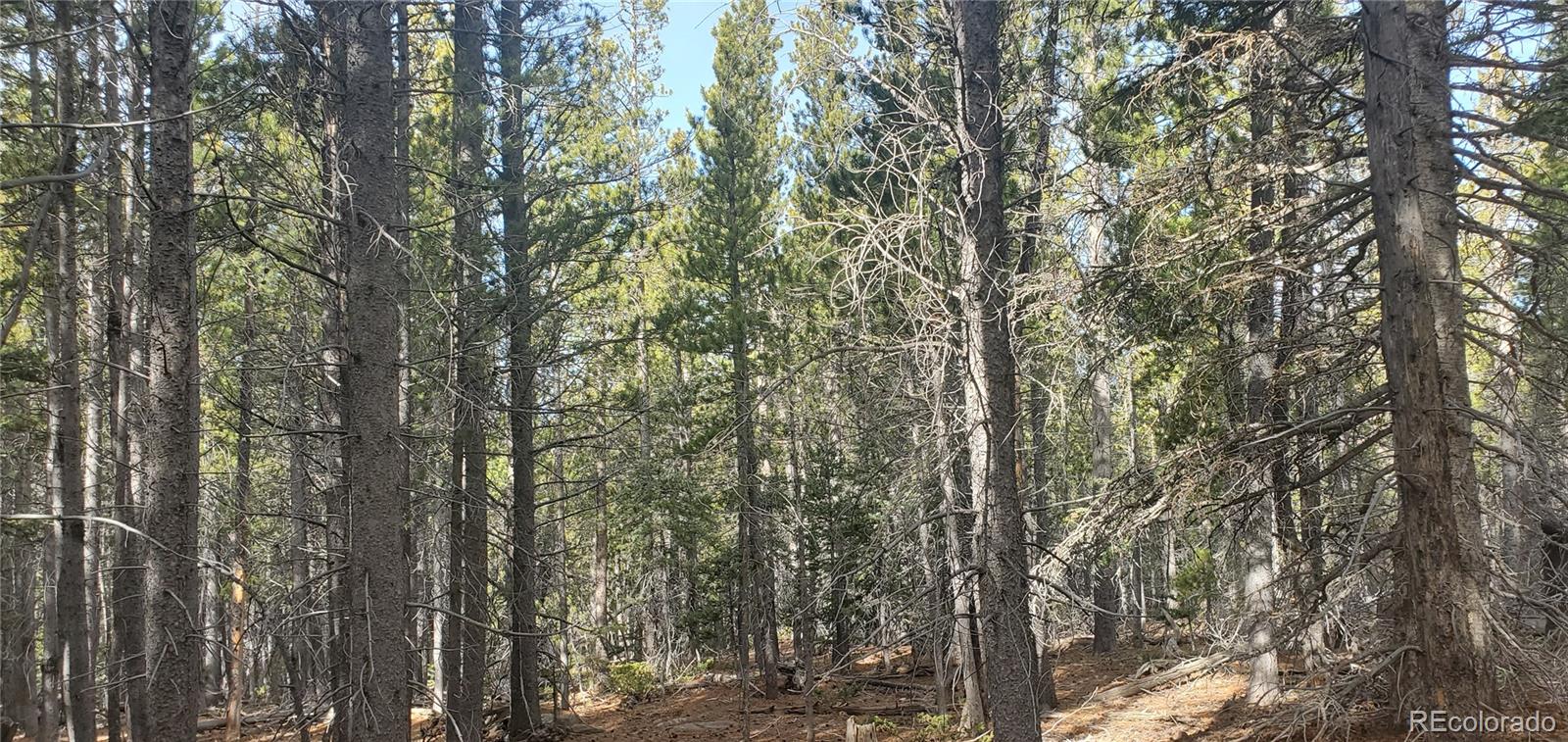 Lot 3246 Zipf Lane