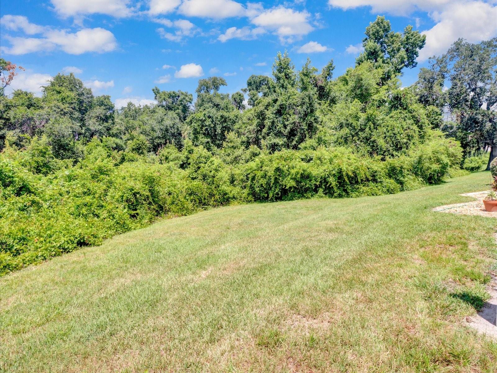5100 Burchette Road 3200