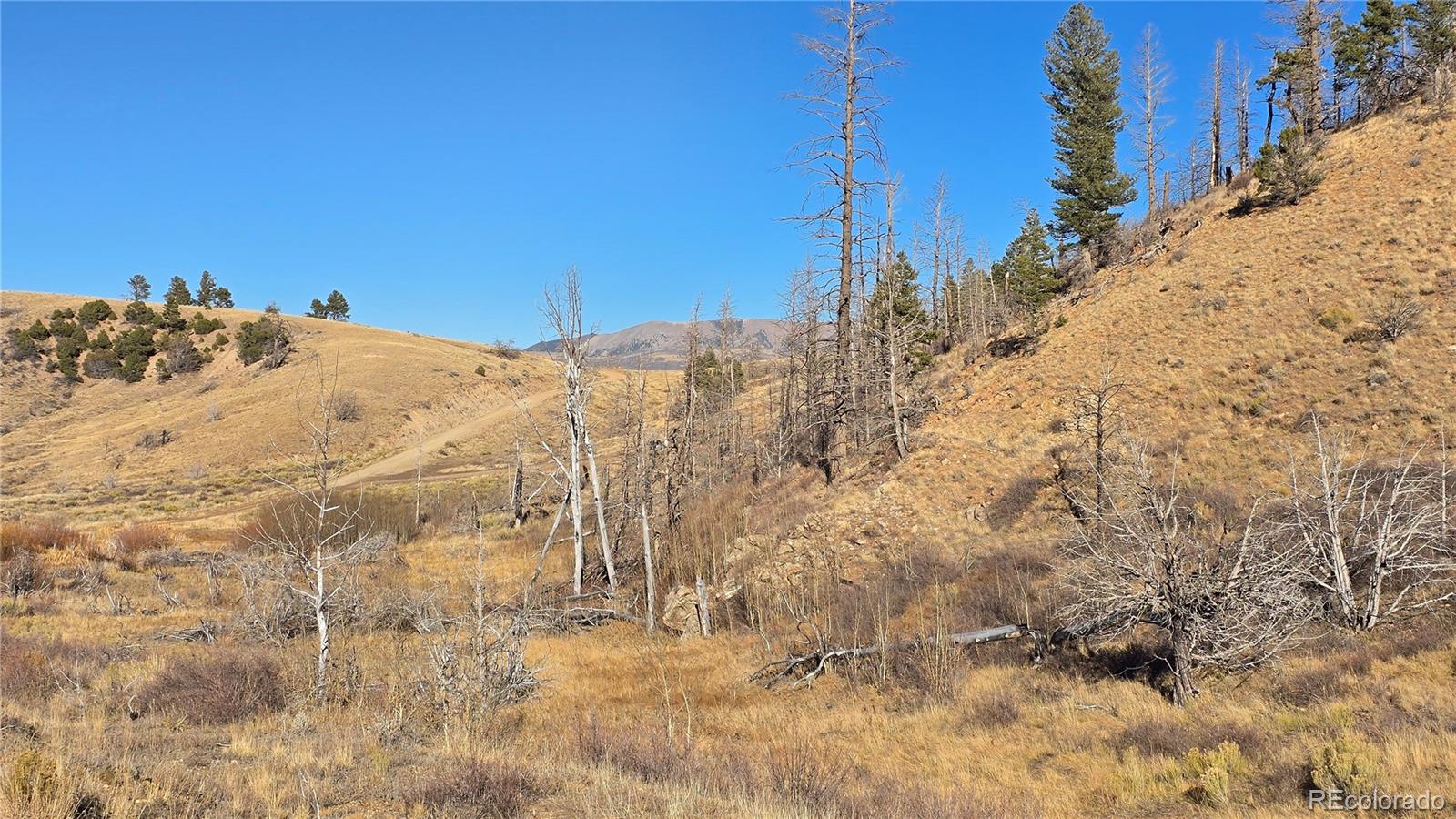 7741 Van Giesen Road