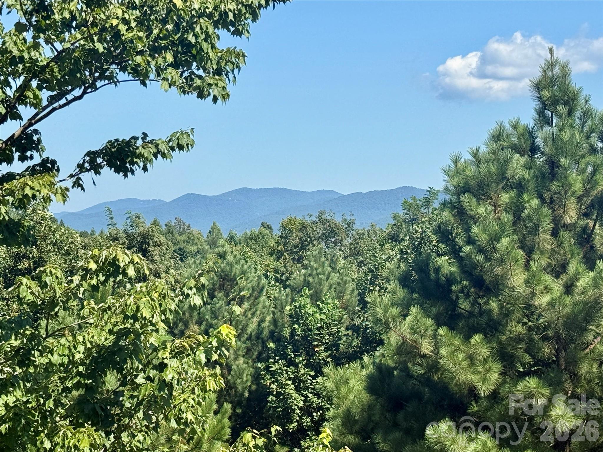 315 Lakeview Trail