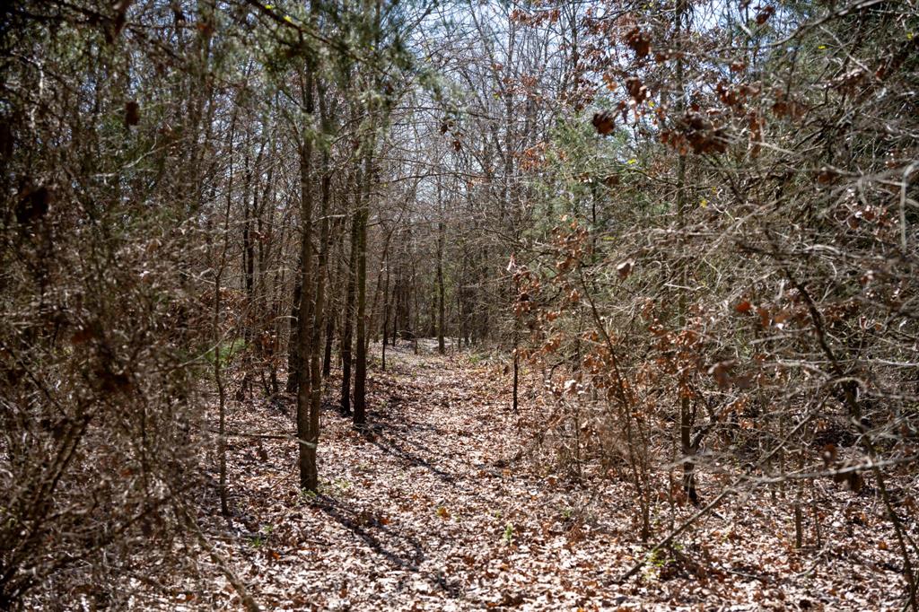 800 County Road 2390