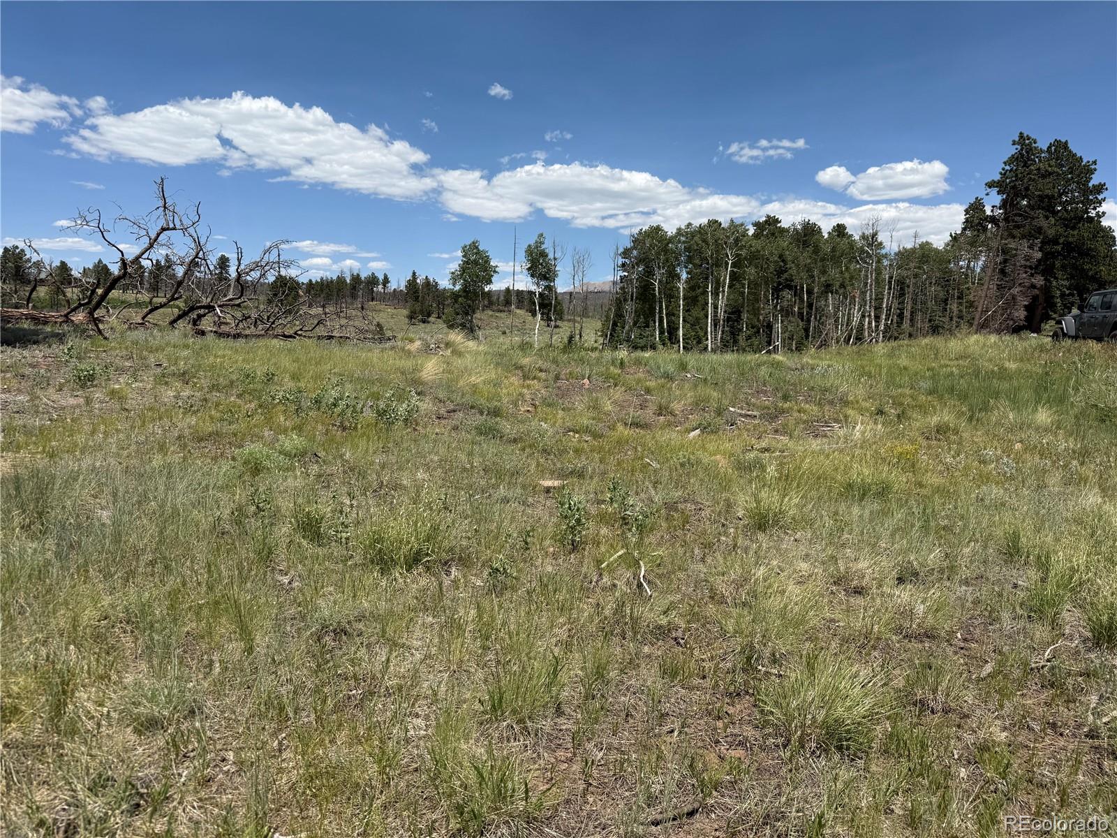Lot 1103 Emery Loop