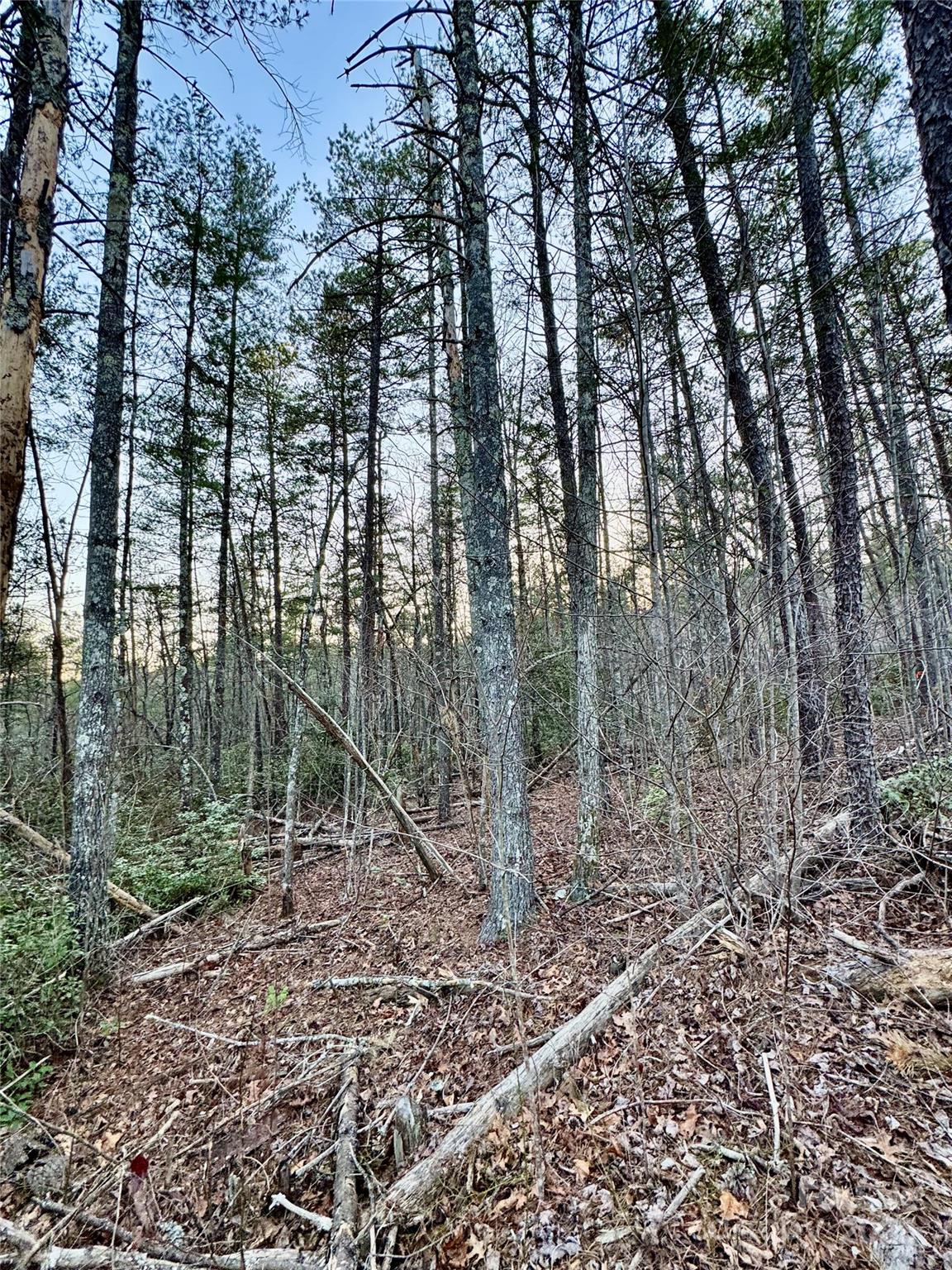 TBD Quiet Creek Lane