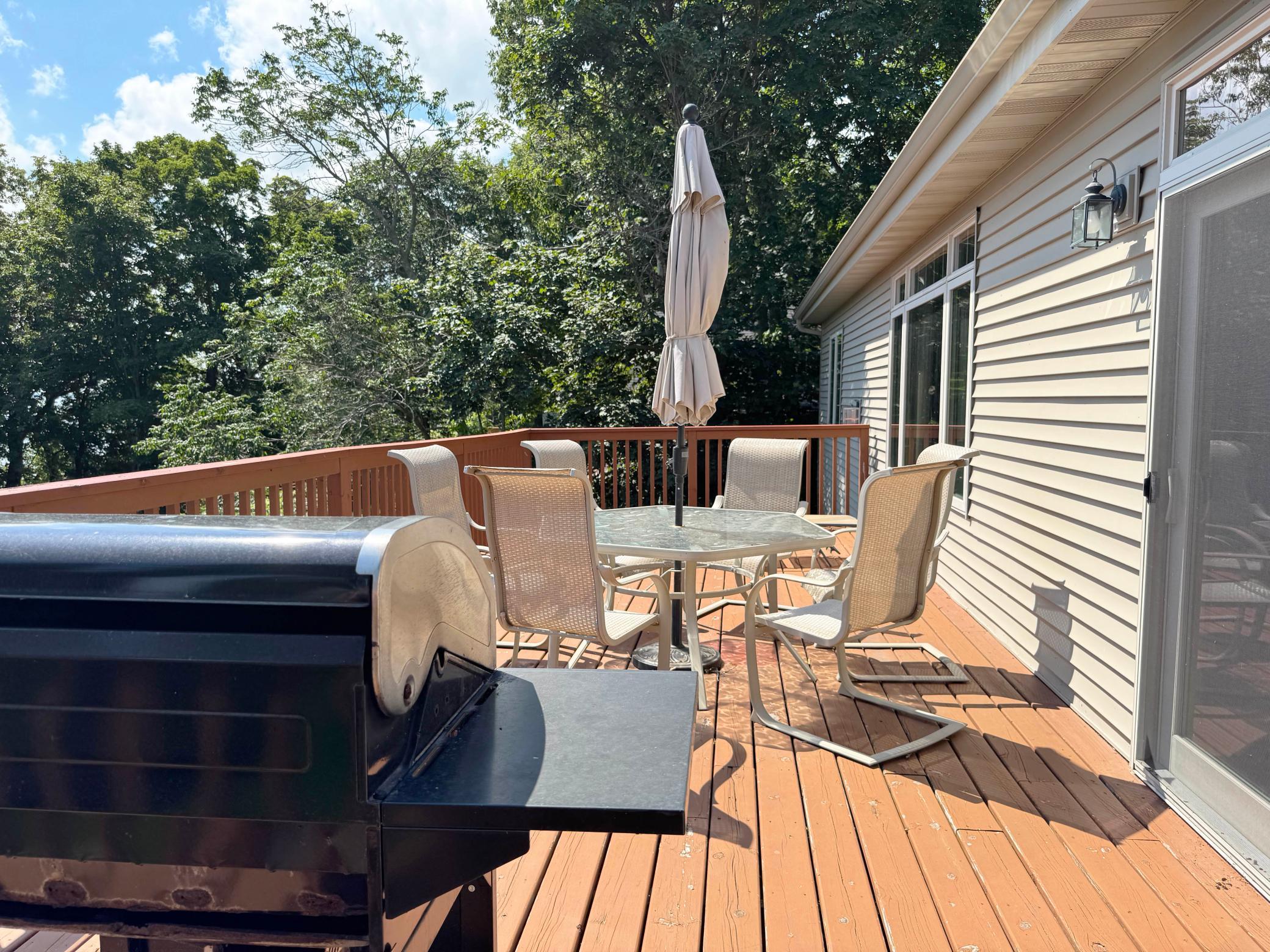 44205 Conifer Street