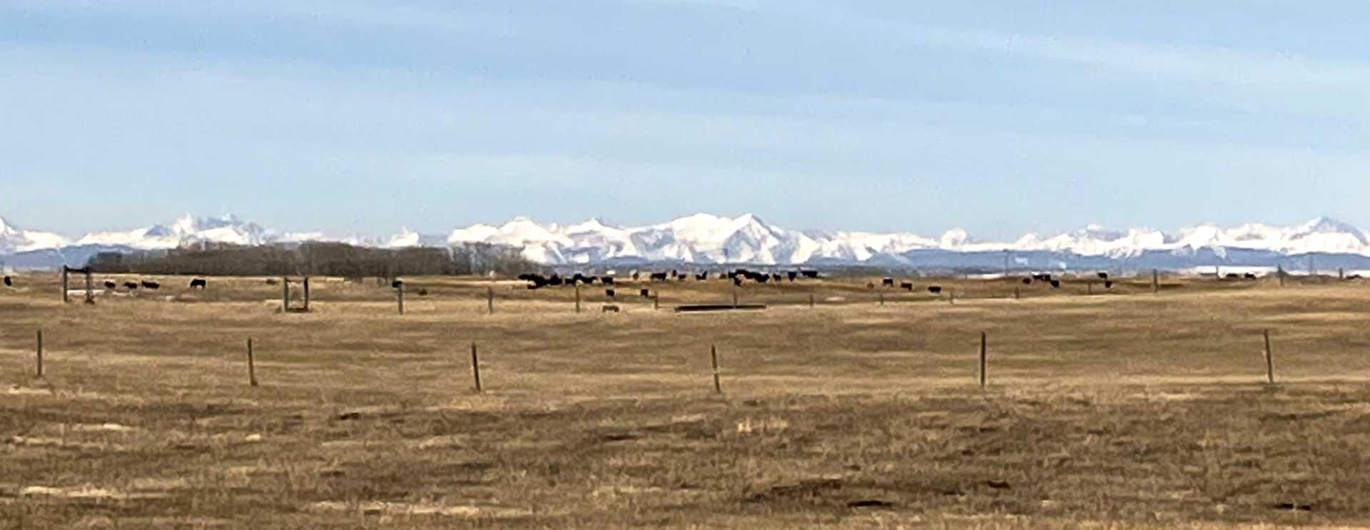 78 Acres Township Road 270